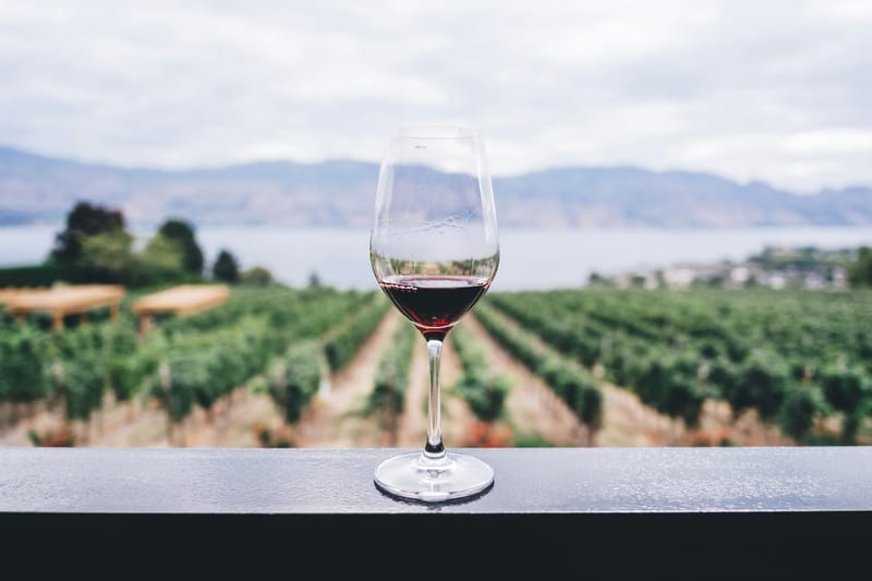 Georgia wine tasting and gastronomy tour at award-winning wineries